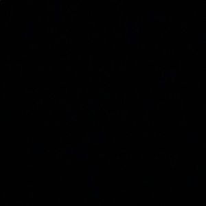 Meet your Posher, Wyatt